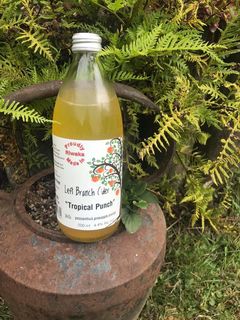 Left Branch Tropical Punch